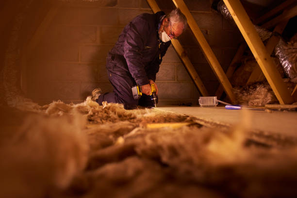 Best Insulation Installation Services in Canonsburg, PA